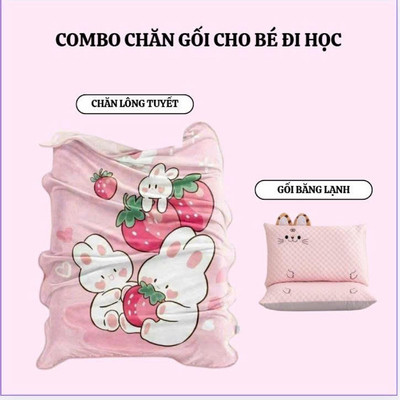 Combo chăn nhung tuyết và gối băng lạnh cho bé đến trường,chăn gối văn phòng (1 chăn nhung tuyết + 1 gối băng lạnh)