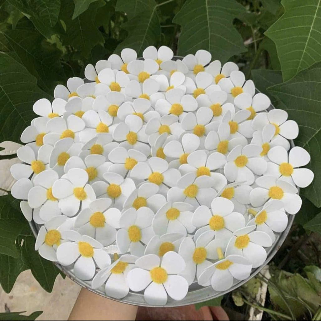 Combo 100 bông hoa Violet xốp. Đàn hồi chống nước. Kết hợp với hoa sáp hoa tươi.. .