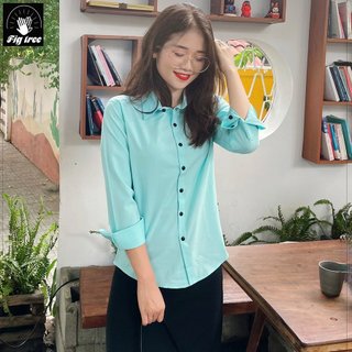 Áo Sơ Mi Cặp Fig Tree Xanh Bạc Hà Cổ Bẻ Thời Trang