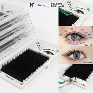 Mi khay 0.07 cong Lj Lb Lc Ld M L chuẩn douyin trung hoa, mi khay nối mi, tạo fan -  Thúy Hà Eyelash