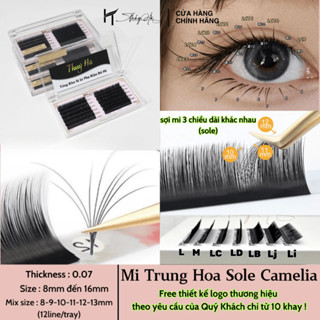 MI DOUYIN Trung Hoa Sole, độ dày 0.07mm/ cong LJ-LB-LC-C-J-B-C-CC-D Lông Mi Magiclash / Thúy Hà
