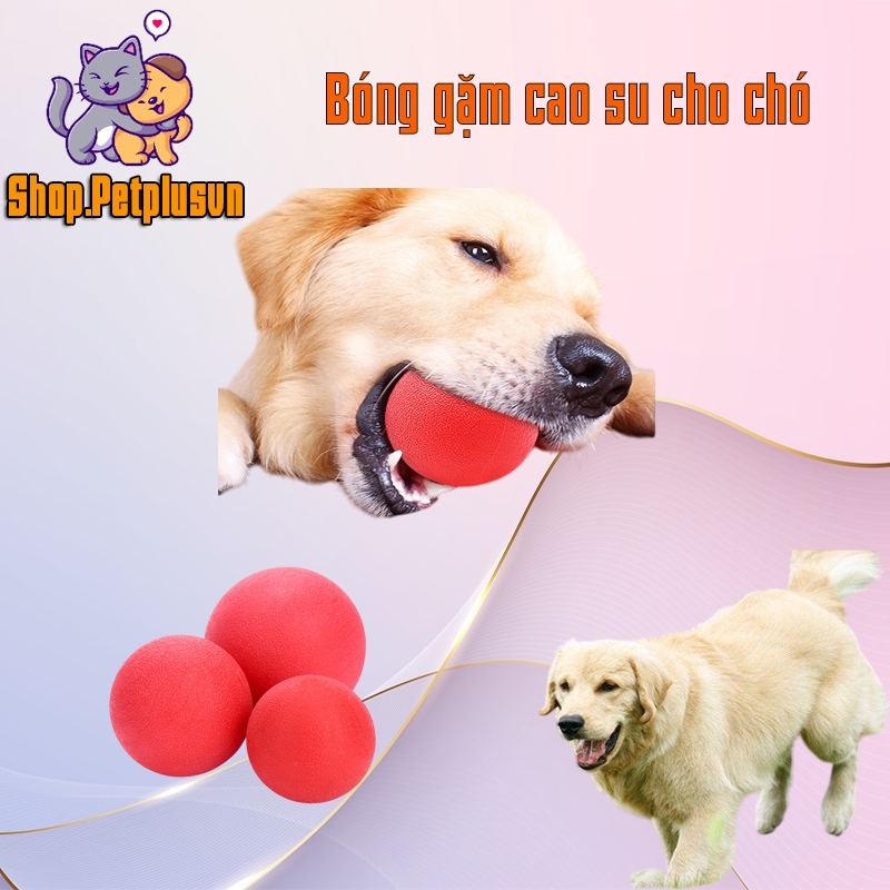 Bóng Cao Su Đồ Chơi Cho Chó Mèo - Bóng Đàn Hồi Vận Động, Đồ Chơi Huấn Luyện Thú Cưng Nhiều Kích Thước