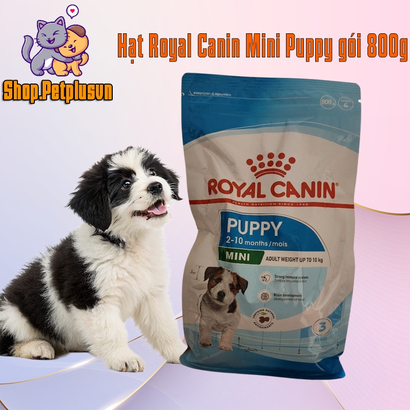 Hạt Cho Chó Con Giống Nhỏ Royal Canin Mini Puppy 800g - Thức Ăn Tăng Đề Kháng, Ngừa Cao Răng Cho Cún Dưới 10 Tháng