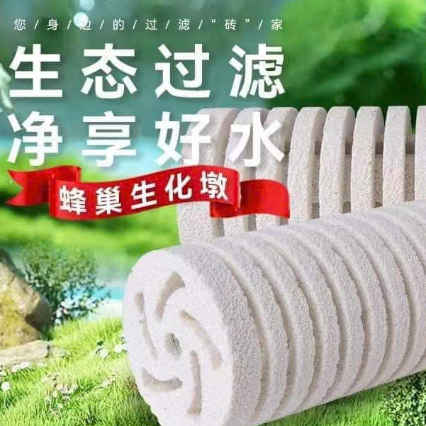 Sứ thanh Xoắn Bacteria House Porpoise kích thước 90 x 250 mm