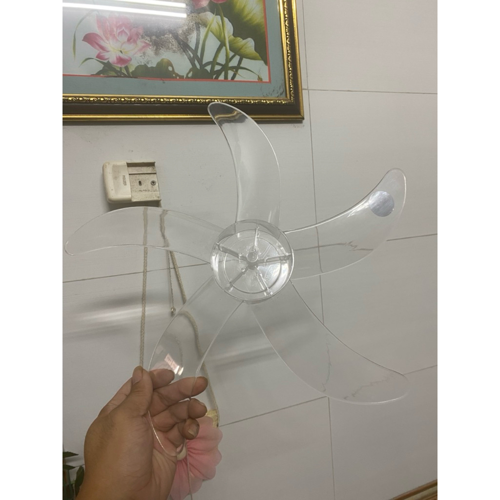 cánh 1991, cánh cứng, 5 cánh, sải cánh 37,5cm