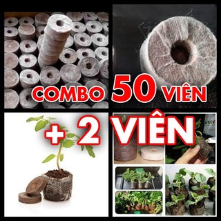 combo 50 viên nén ươm hạt dùng ươm cây tiện lợi được tặng thêm 2 viên