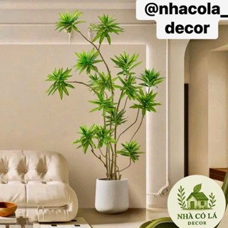  Cây Phát Tài Giả 5-14 Nhánh Cây Thủy Trúc giả trang trí văn phòng Thủy Trúc  Nhân Tạo Decor Tiểu Cảnh 