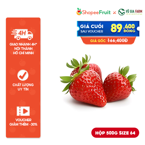 [HOẢ TỐC HCM] Dâu Tây Sachi Đà Lạt - tươi ngon, mọng nước, có ngọt có chua, có tặng kèm muối xí muội