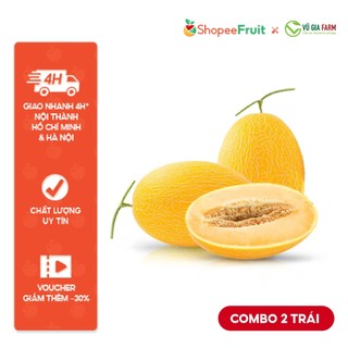 [HCM] COMBO Dưa Lưới Vàng Ruột Cam - Thanh mát tự nhiên, thơm ngon dịu ngọt