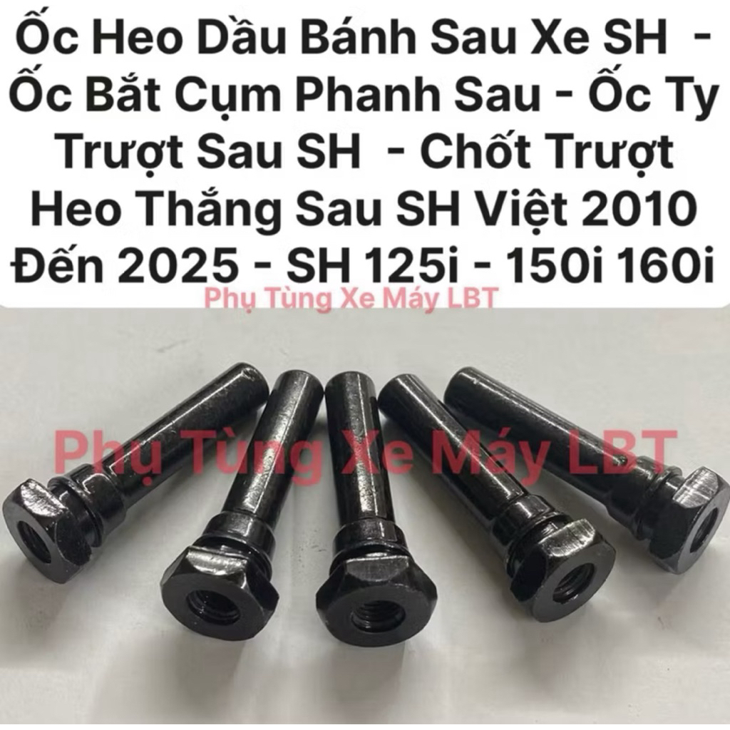 (5 Con) Ốc Bắt Cụm Phanh Sau - Ốc Ty Trượt Sau SH - Chốt Trượt Heo Thắng Sau SH Việt 2010 Đến 2025 -