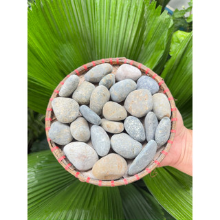 1-Viên Đá Kê Giấy, Đánh Dấu Trang Sách Vở