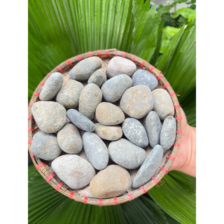 1-Viên Đá Kê Giấy, Đánh Dấu Trang Sách Vở
