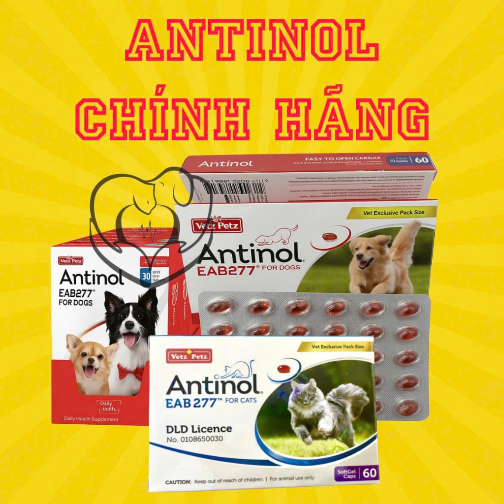ANTINOL GIÁ SIÊU RẺ SIÊU KÍCH MỌC LÔNG, DƯỠNG LÔNG VÀ BỔ KHỚP CHO CHÓ MÈO