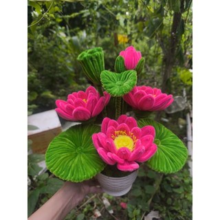  Chậu hoa sen kẽm nhung để bàn 