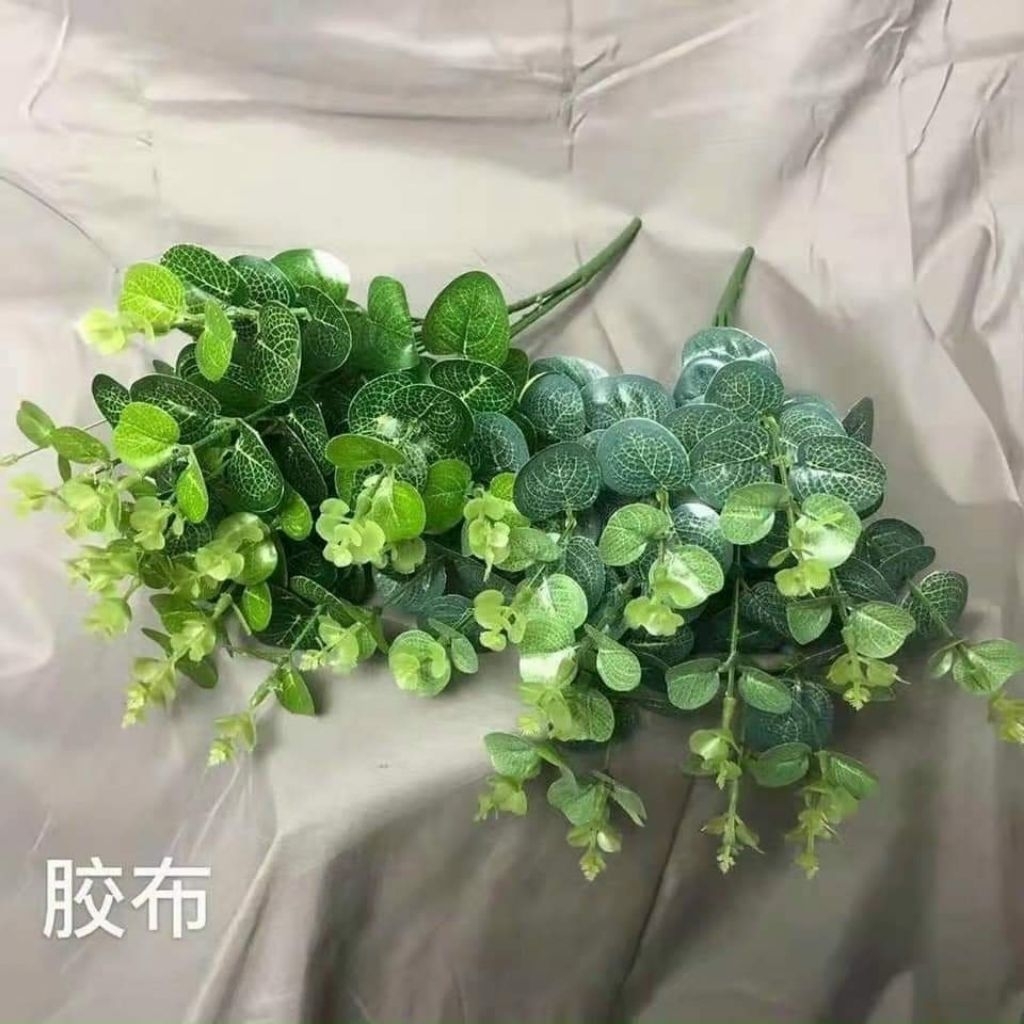 1 cụm lá táo.