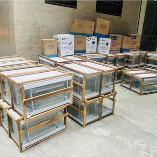 Bể cá đúc thường 40 có 2 góc bo thẩm mỹ