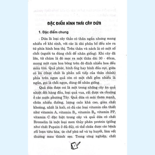 Sách - Kỹ thuật trồng và chăm sóc dứa - ML