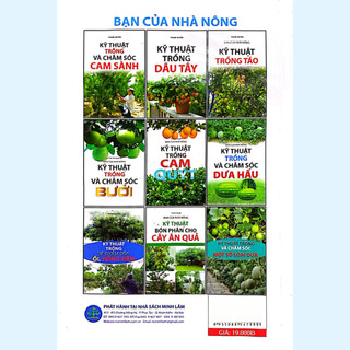 Sách - Kỹ thuật trồng và chăm sóc dứa - ML