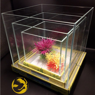 Bể Cubic 30 thường - Bể thủy sinh kính đẹp