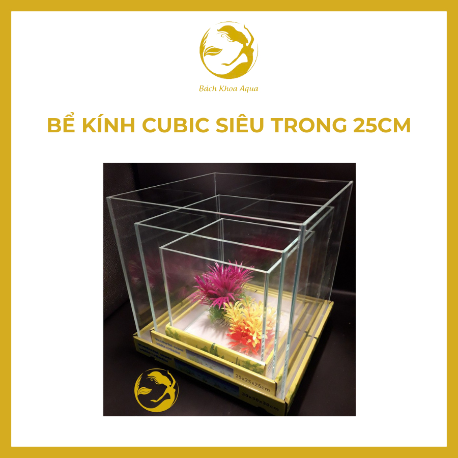 Bể kính cubic siêu trong 25