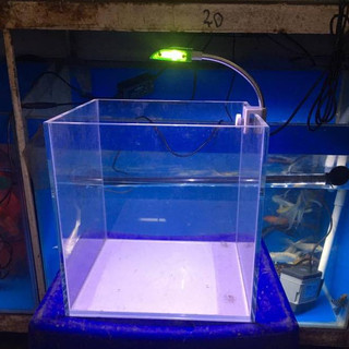 Bể kính cubic siêu trong 25
