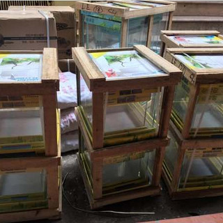 Bể kính cubic siêu trong 25