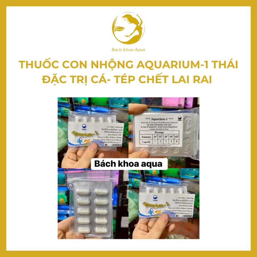 Vỉ 10 viên con nhộng AQUARIUM-1 Thái Lan cho cá tép thủy sinh
