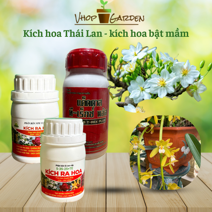 Kích hoa bật mầm MKP, siêu ra hoa, kích hoa Thái Lan chuyên dùng cho hoa lan, hoa hồng và cây cảnh P