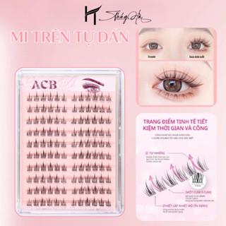  Mi Tự Gắn Sẵn Keo Mi Hoa Hướng Dương Mi Giả Tự Dán Dễ Gắn Tái Sử Dụng \ Thúy Hà Eyelash 