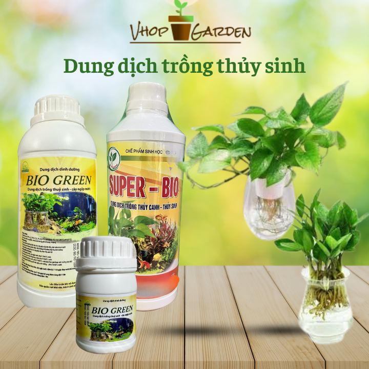 Dung dịch thủy canh Super Bio, Bio life 1 Lít, thủy sinh cây trồng nội thất, cây trồng trong nước