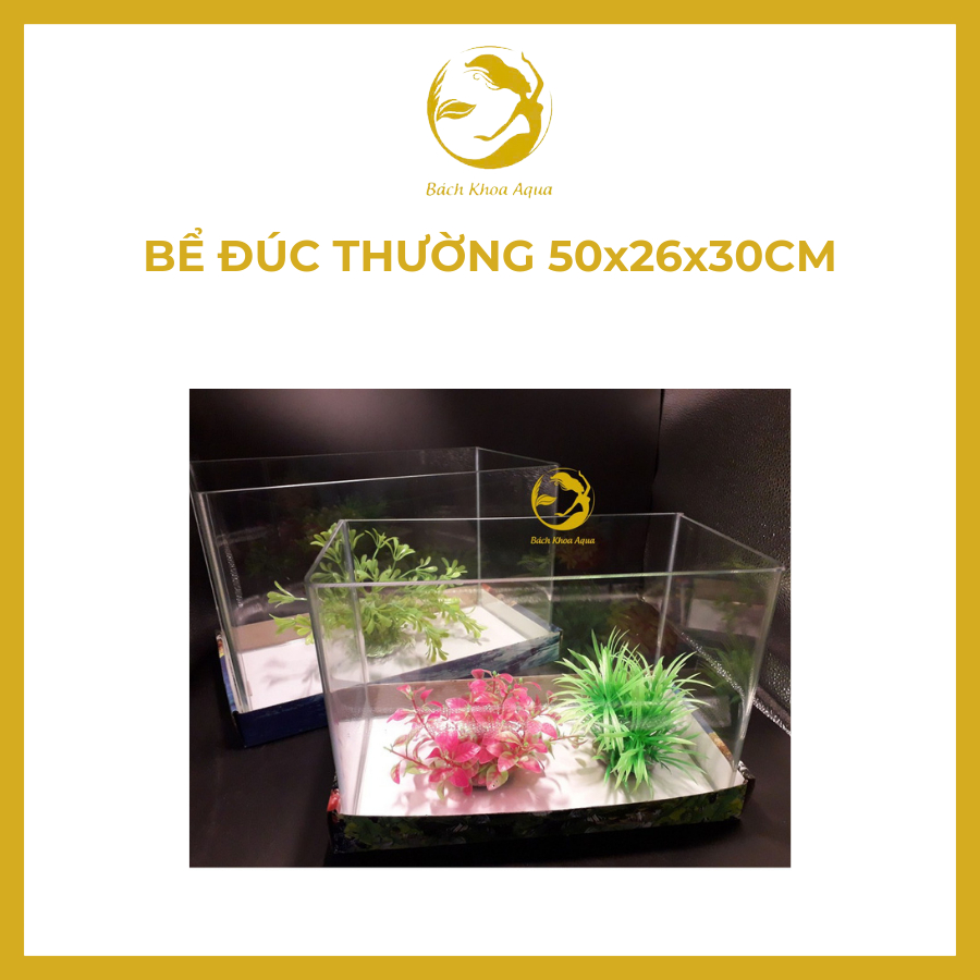 Bể đúc thường 50x26x30cm kính 5mm