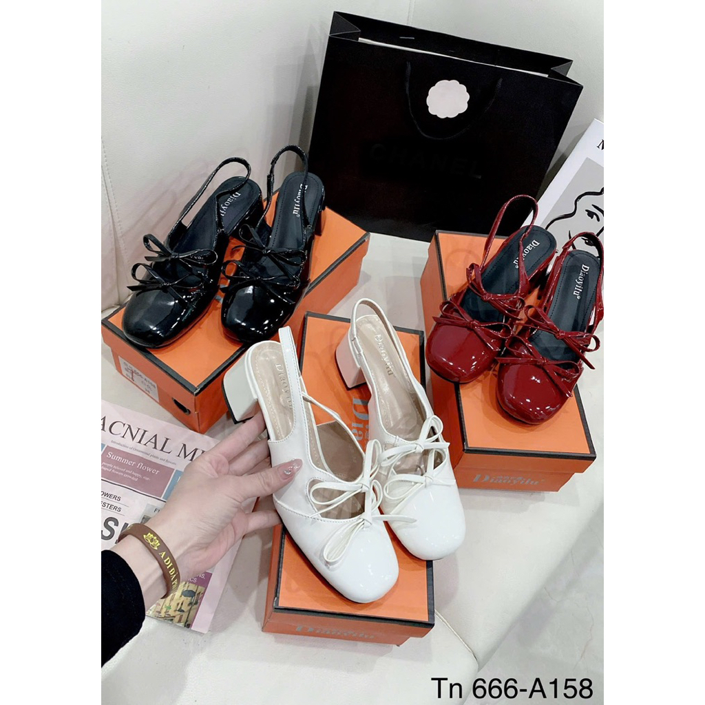 Xandan 2 nơ 5F (mã 666-A158), fullbox