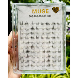 Mi dưới Muse  cụm 10 hàng  siêu hot
