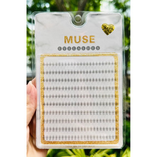 Mi dưới Muse  cụm 10 hàng  siêu hot