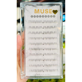 Mi dưới Muse  cụm 10 hàng  siêu hot