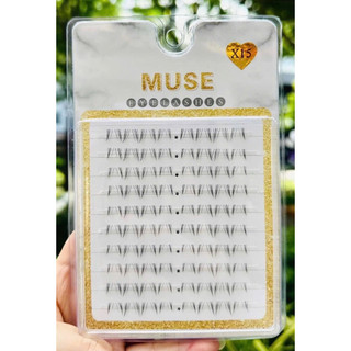 Mi dưới Muse  cụm 10 hàng  siêu hot