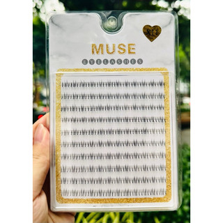Mi dưới Muse  cụm 10 hàng  siêu hot