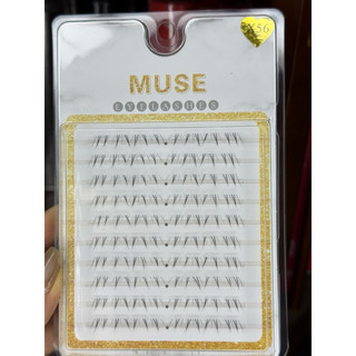 Mi dưới Muse  cụm 10 hàng  siêu hot