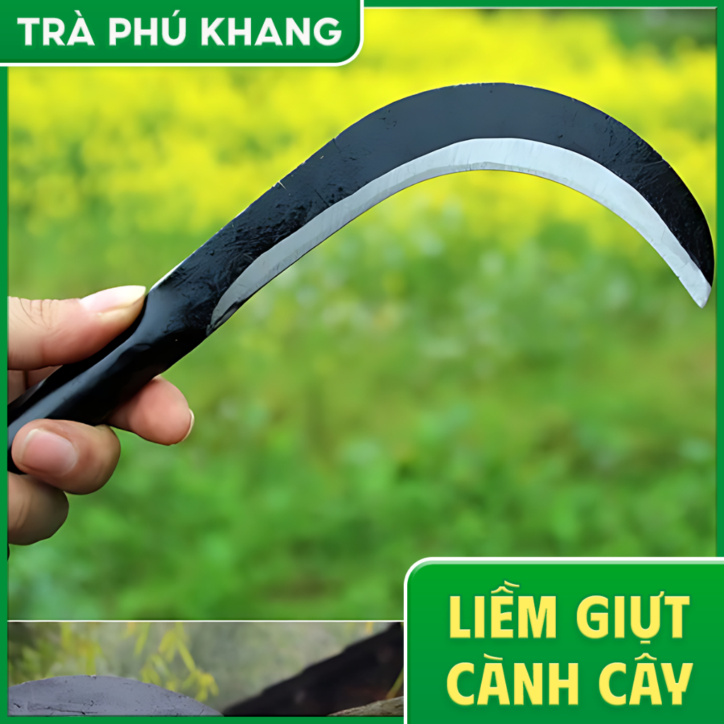 liềm giựt cành cây, cu lim giựt cành cây, liềm móc cành cây