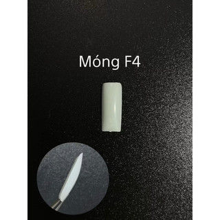 COMBO 10 túi móng F4. Móng giả tập làm Nail 