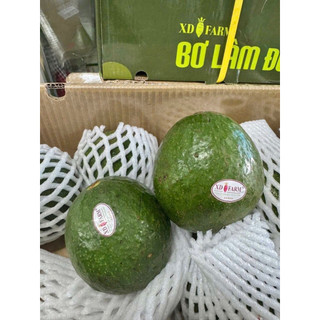 bơ booth lâm đồng