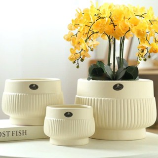  Chậu sứ trồng lan chậu sứ dáng quả lê chậu trồng cây phong cách Bắc Âu phù hợp trồng cây cắm hoa| Living Decor 
