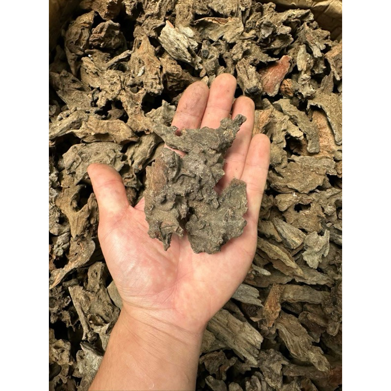 lũa san đá vụn mini setup bể terrarium,bán cạn,tiểu cảnh