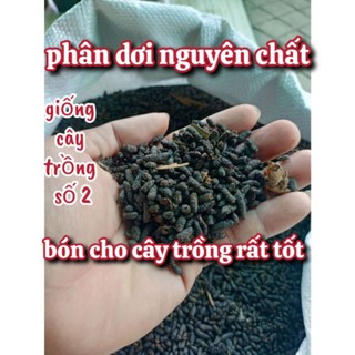  phân dơi nguyên chất bón cho cây trồng rất tốt và bền cây 