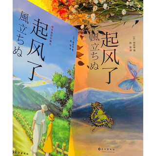 Sách - Gió nổi lên rồi ( cuốn chỉ có chữ Hán )