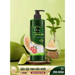 Dầu Gội Tinh Chất Bưởi