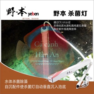  Đèn UV diệt tảo bể cá hồ Koi công nghệ Amalgam YEBEN 20W 