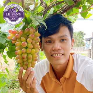 Cây Nho giống Ngón Tay Đỏ 152 . Trồng ngoài trời nắng . Trồng chậu . Thùng xốp . Sân thượng . Kênh video hướng dẫn.