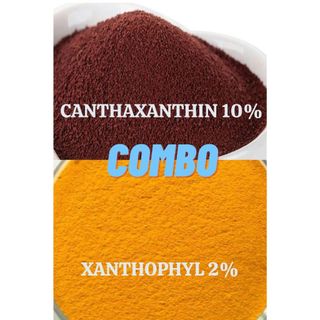 COMBO lên màu đỏ cam da, mỏ, lòng đỏ trứng gia cầm