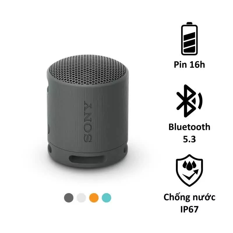 Loa Bluetooth SRS-XB100 Extra Bass Siêu Bền Chống Nước | BigBuy360 - bigbuy360.vn